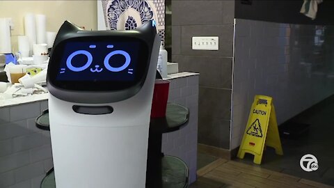 Madison Heights restaurant brings in robots amid worker shortage