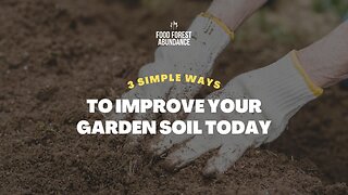 3 simple ways to improve your garden soil today