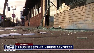 Chicago Burglar Throws Cinder Block Into Business, Steals Property