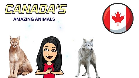 Canadian Animals