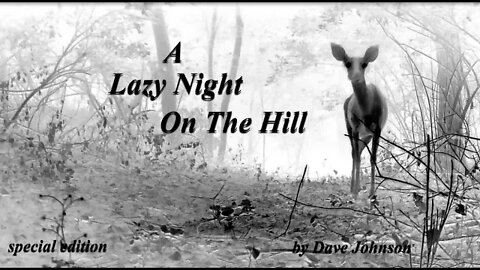 A lazy night onthe hill