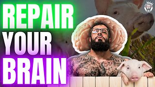 How to Repair Your Brain with Growth Hormones: The Power of Cerebrolysin
