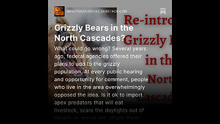 Reintroduce Grizzly Bears in the North Cascades? What could go wrong?
