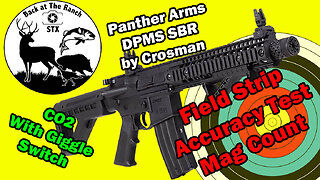 Product Review - DPMS Panther Arms SBR by Crosman Overview, Field Strip and Accuracy Test