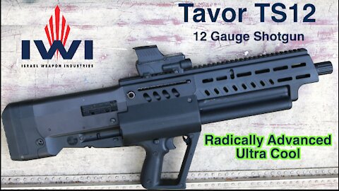 Radically Advanced Bullpup Shotgun — IWI Tavor TS12