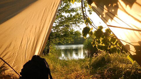 🌳🌳🌳 Overnighter at a woodland lake! 🌳🌳🌳