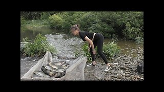 Hunting wild fish - Fishing techniques | stream fishing | Building a system of fishing nets EP25