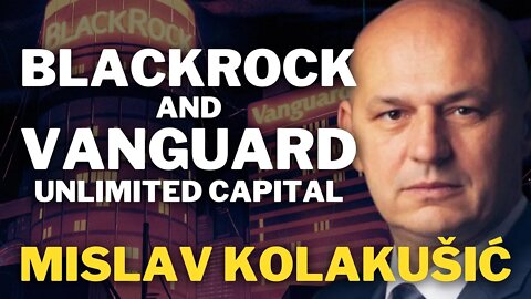 Blackrock And Vanguard Own The Economy | Mislav Kolakušić