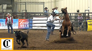 Tie-down Roping - 2023 ABC Pro Rodeo | Saturday Matinee