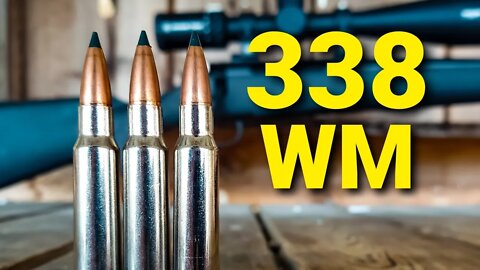 .338 Win Mag is a BEAST 💪💪