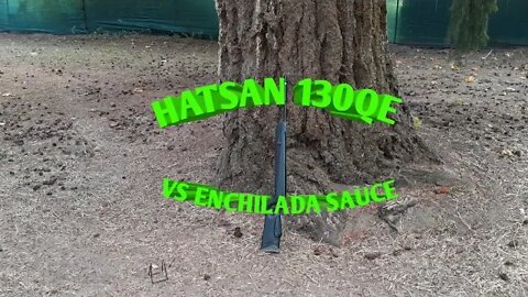 Hatsan 130QE .30 vs Enchilada sause
