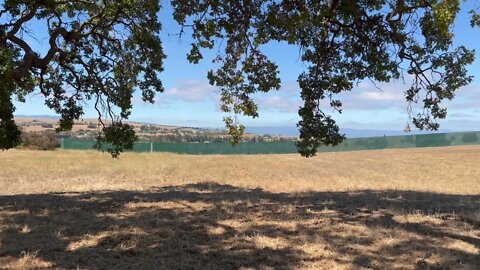 Hiking Montgomery Hills Park in a dry Saturday morning in early August in San Jose, CA.