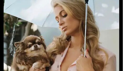 Paris hilton ‘depressed’ after her dog tinkerbells death 💔