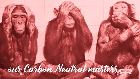 Our Carbon Neutral Masters