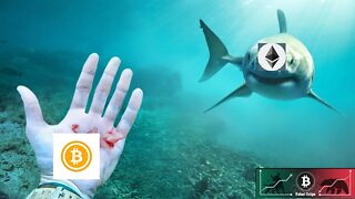 ALTCOINS E O CHEIRO DE SANGUE DA QUEDA DA DOMINANCIA DO BITCOIN + ANÁLISE GRÁFICA AO VIVO - 23/10/21