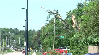 Sheboygan residents wake up to downed trees, power lines following severe weather