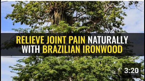 Relieve joint pain naturally with Brazilian ironwood
