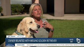 Encinitas woman reunited with golden retriever weeks after dognapping