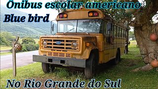 blue bird ford1987 american school bus in rio grande do sul