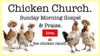 🐓 Chicken Church! Sunday Morning Gospel & Praise. @ the chicken ranch.