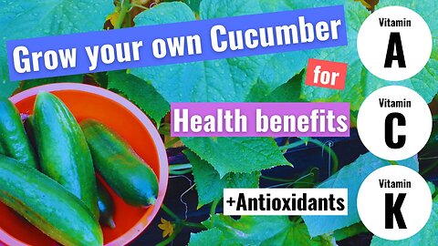 Grow your own cucumbers for maximum health benefits