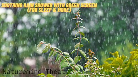 Relaxation Rain Shower With Green Screen (For Sleep, Insomnia, Meditation, Study, Reduce Stress)