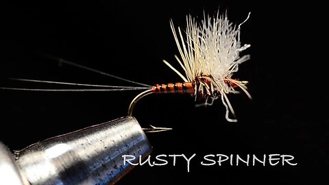 Rusty Spinner Tied By Charlie Craven
