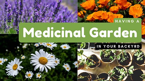 Let grow your own Medicinal Garden
