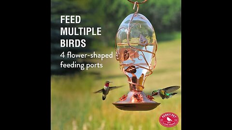 Glass Hummingbird Feeder, Never Leakage Large 36 oz Hummingbird Feeder for Outdoors, Hand Blown...