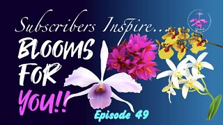 SUBSCRIBERS INSPIRE| You color my life | Blooms for YOU! Episode 49 🌸🌺🌼💐#Orchids #OrchidsinBloom