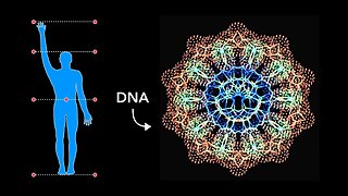 How Sacred Geometry is Embedded in Your DNA!