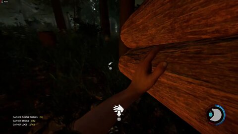 The Forest: Multiplayer 2