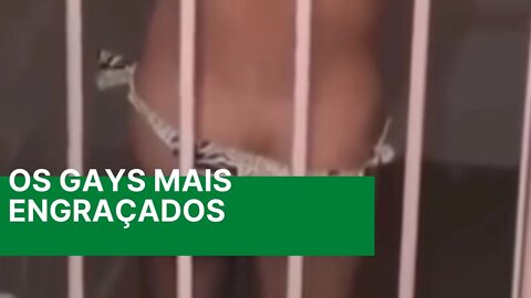 Os Videos de Gays Mais engraçados da Internet