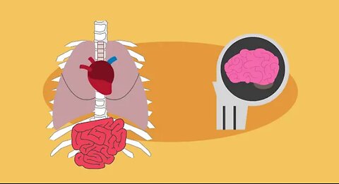 Physiology of 🦴