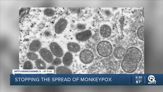 Monkeypox cases show signs of increasing
