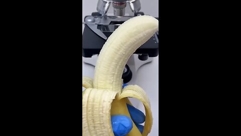 Banana under microscope