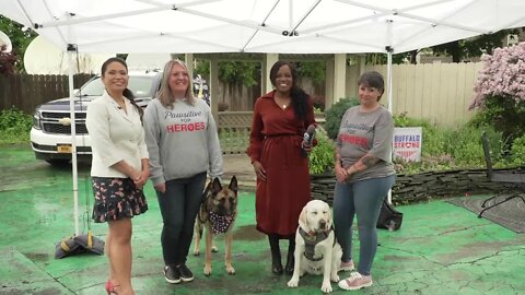 Pawsitive for Heroes Service Dog Program