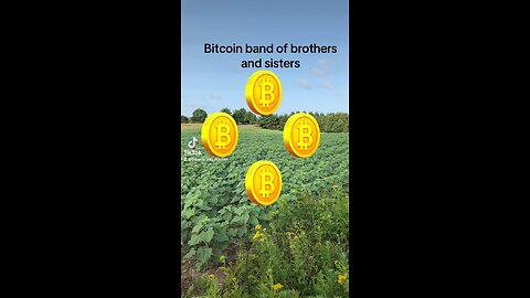 Bitcoin band of brothers and sisters