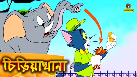 Tom and Jerry Bangla cartoon | টম এন্ড জেরি বাংলা কার্টুন