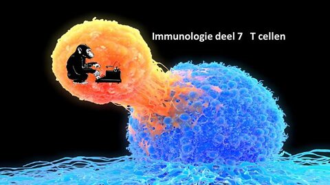 Pierre Capel: Immunologie deel 7 T cellen (NL)