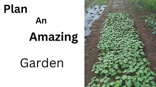 Plan Your Amazing Garden This Year.