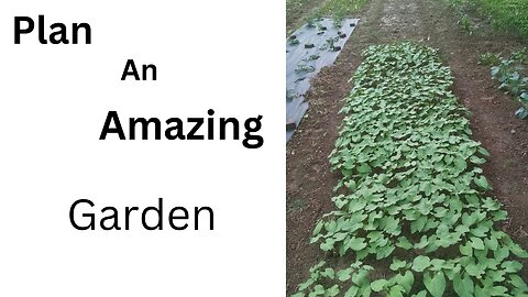 Plan Your Amazing Garden This Year.