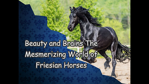 Beauty and Brains: The Mesmerizing World of Friesian Horses