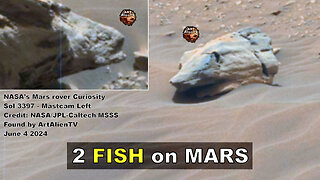 MARS Rover Spots 2 FISH. Shark Evidence ! ArtAlienTV