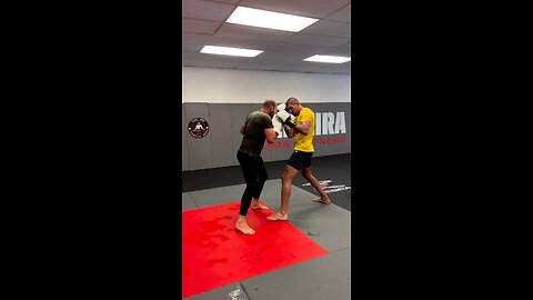 Alex pereira and Glover teixera sparring 🇧🇷