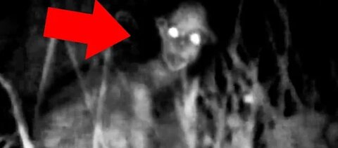 5 Mysterious Creatures Caught On Camera _ Top 5 STRANGE Creatures