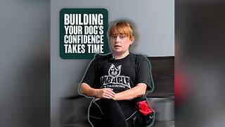 Building your dog’s confidence takes time