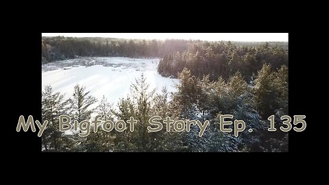 My Bigfoot Story Ep. 136 - Trail Cam Howl