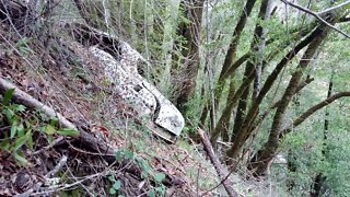 Stevens Creek Road, A Landslide and a Wrecked Car