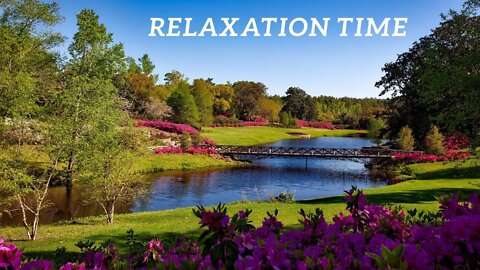 Instant Relief from Stress and Anxiety, Birds Singing I, Deep relaxing Music for The Body#music